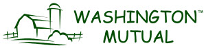 Washington Mutual Insurance Company